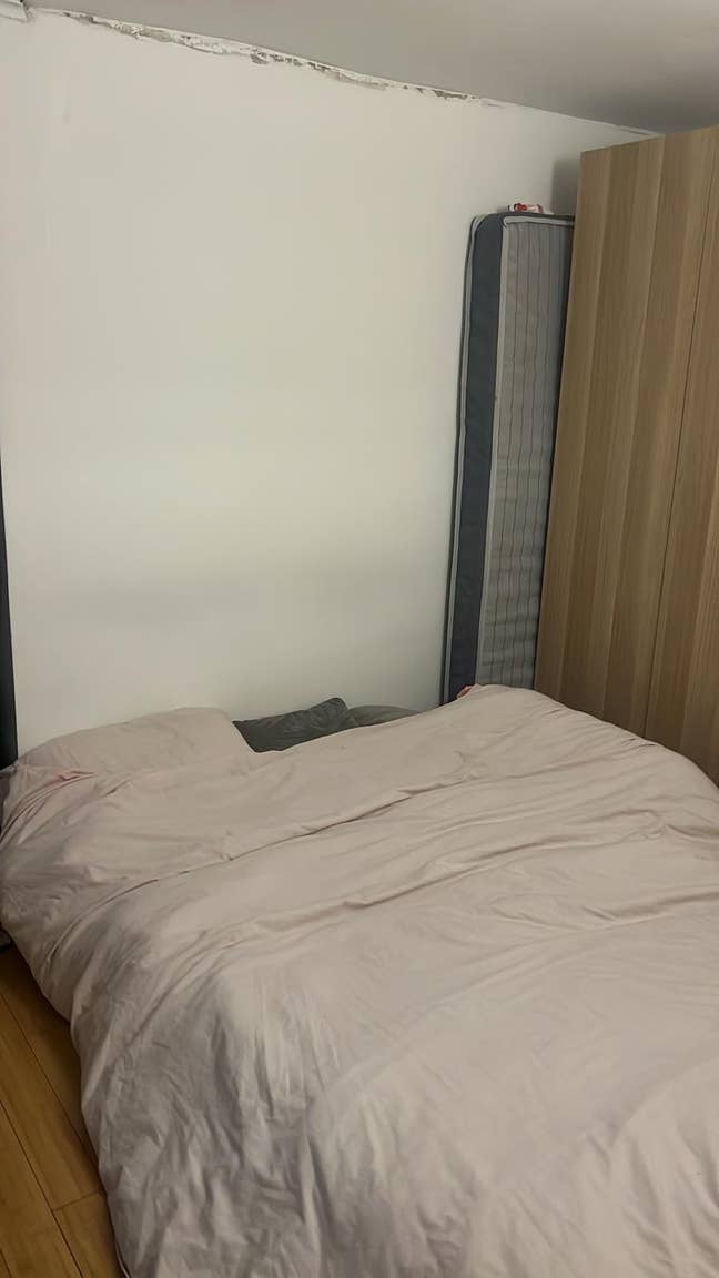 Cozy 1 Bed Flat 10 Mins from Bakerloo Line Main Photo