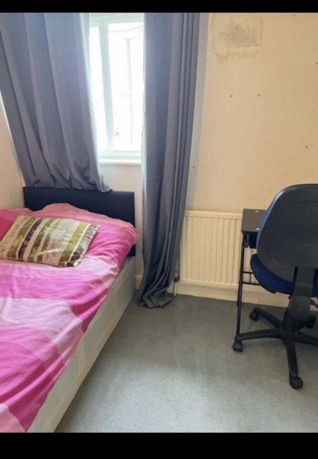 Well kept single room available  Main Photo