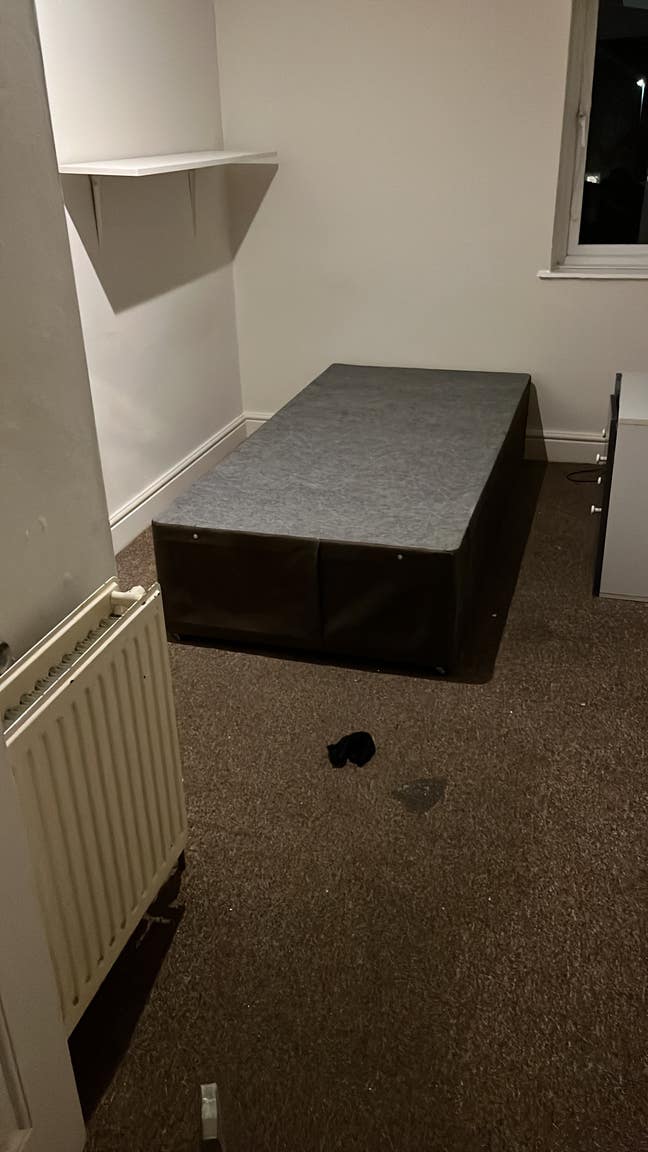 One room to rent use of kitchen bathroom lounge  Main Photo