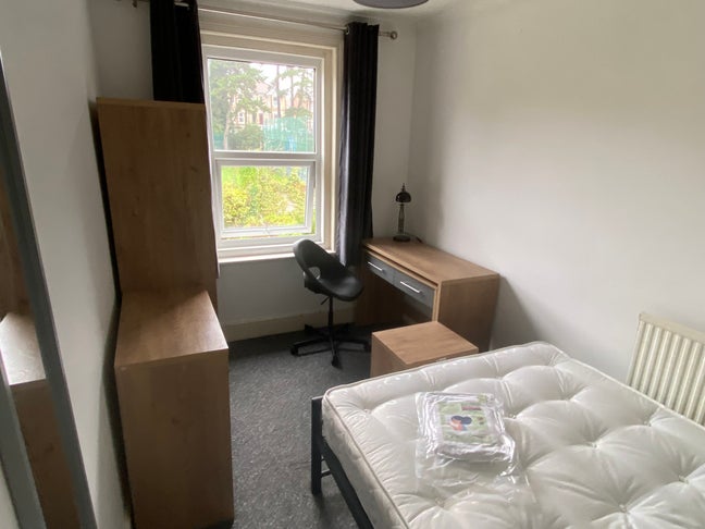 Nice Modern Room with Garden View 🌻🌲 + 🧹 + 🚀🛜 Main Photo