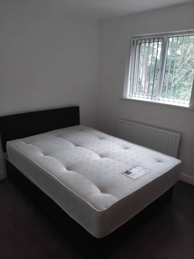  room is now available at  BD11 Main Photo