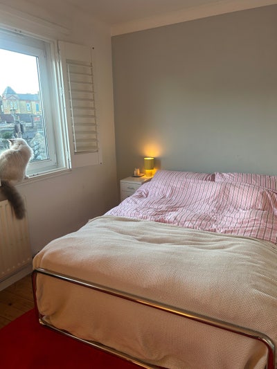 5 month (flexible) sublet in lovely Homerton home Main Photo