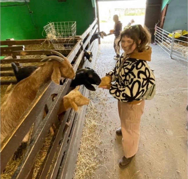 Looking for let!  Main Photo