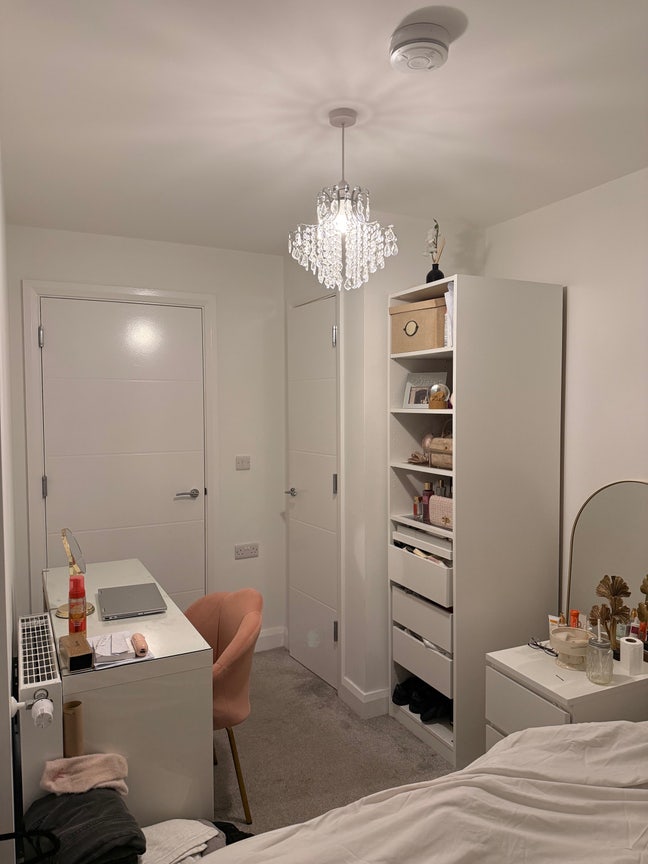 Friendly room mate needed Main Photo