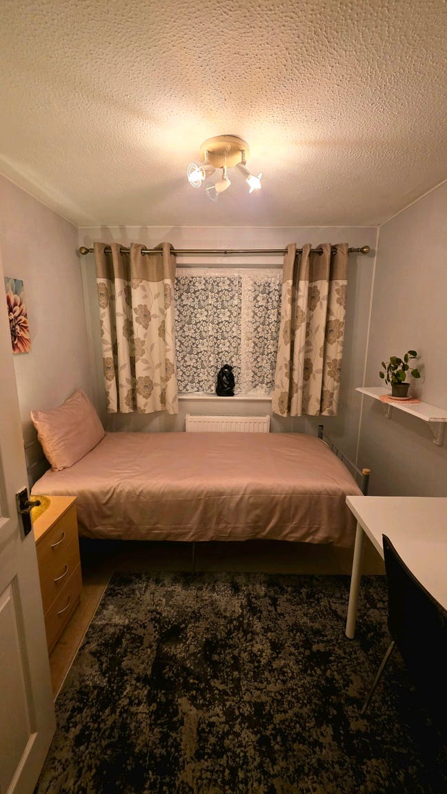 Single room for rent Main Photo