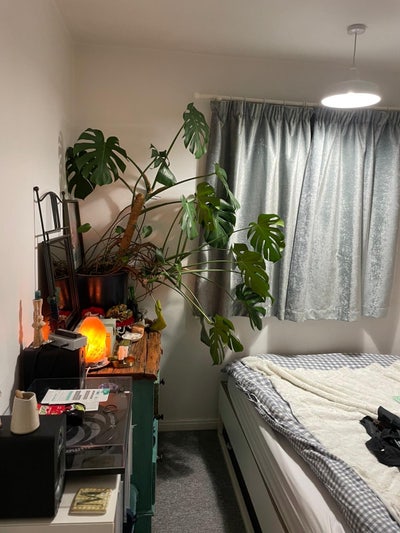 Double room available in sociable flat share Main Photo