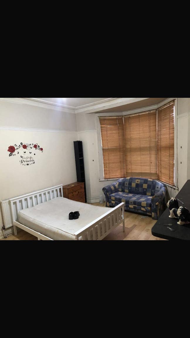 Very big double  Main Photo