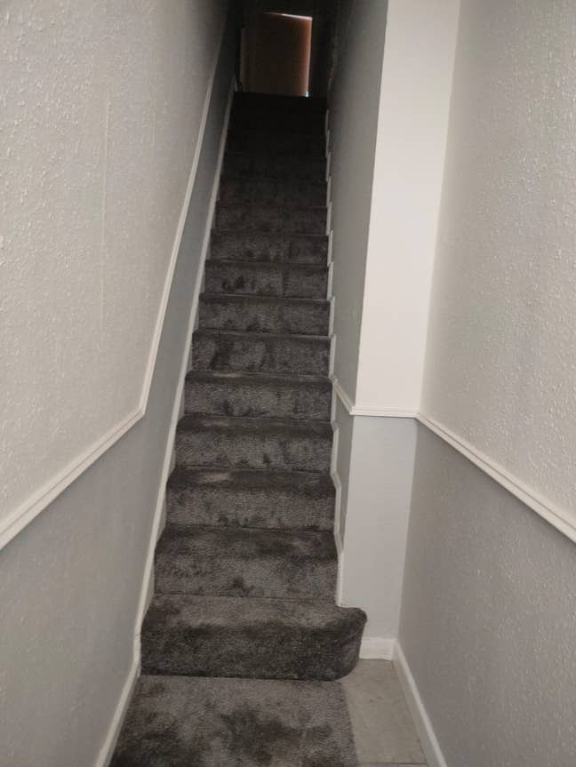 1st Floor Apartment Main Photo