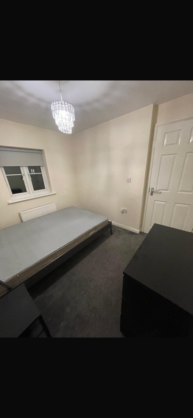 Single room to let  Main Photo