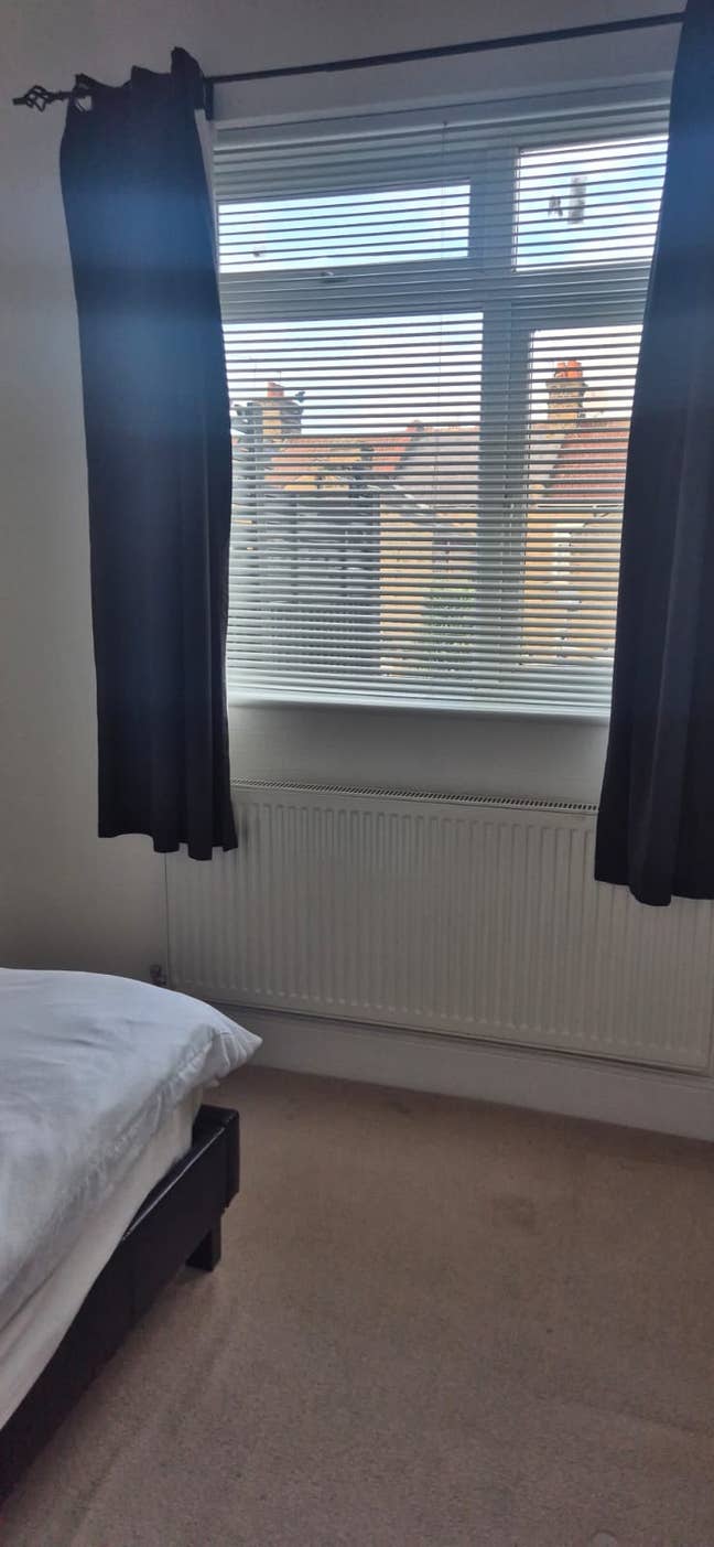 Single Girl for Room to Rent Main Photo