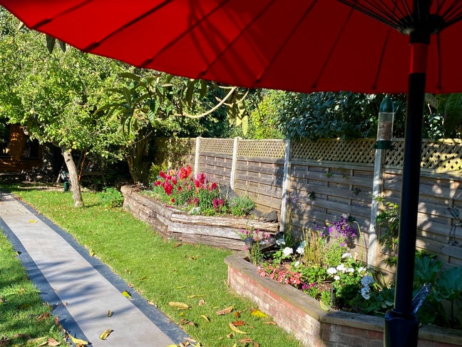 Garden Room -  Quiet surrounds Main Photo