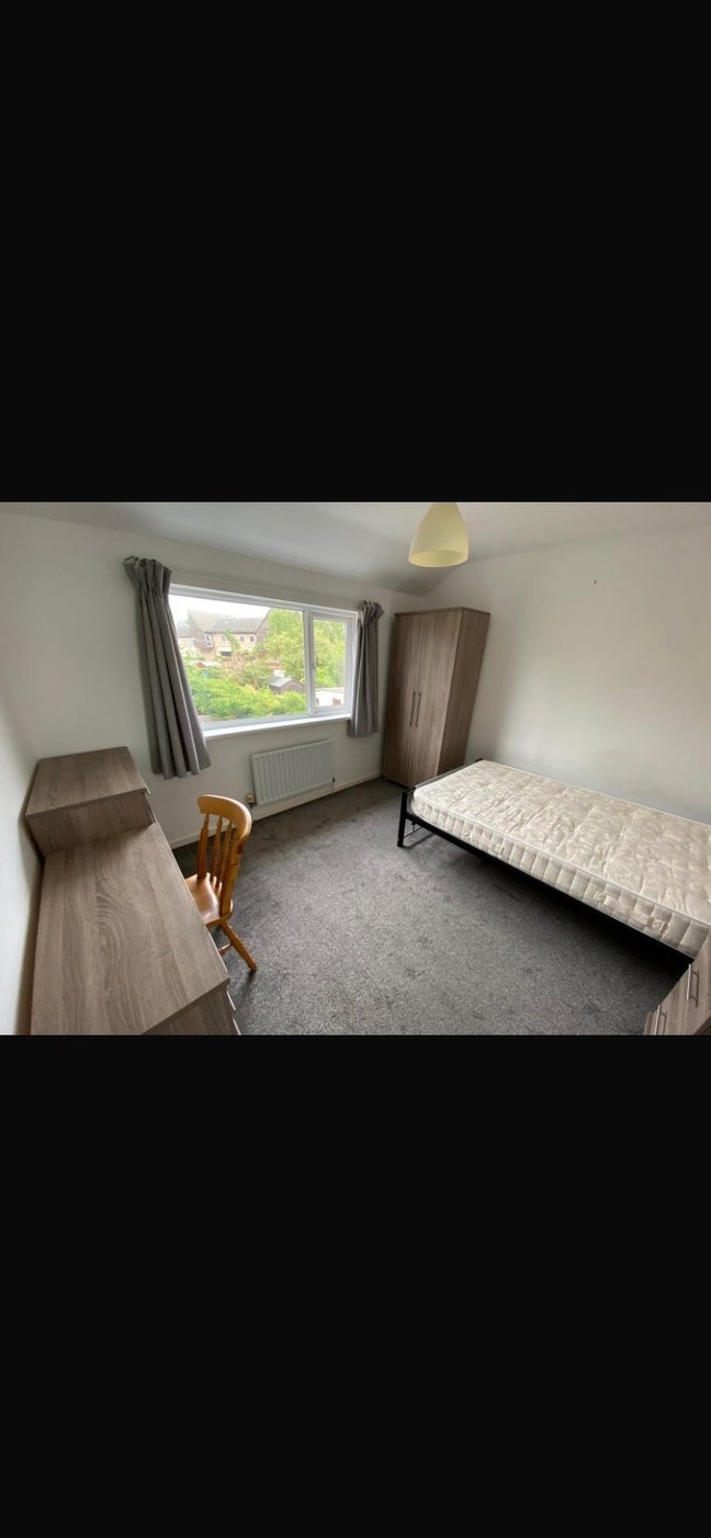 Double Bed room available  Main Photo