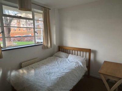 Double room in 2 bed flat - 5 mins walk to station Main Photo
