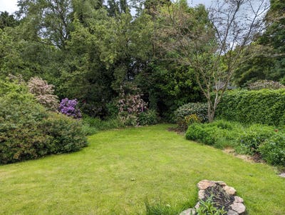 Spacious Room, Large Garden Main Photo