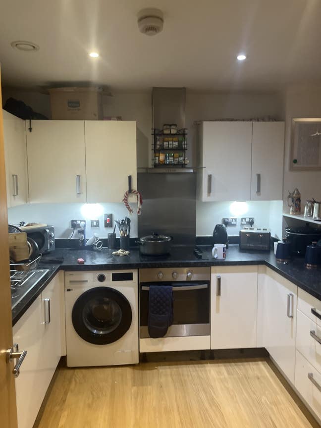 Professional Tenant Required 1st floor Double  Main Photo