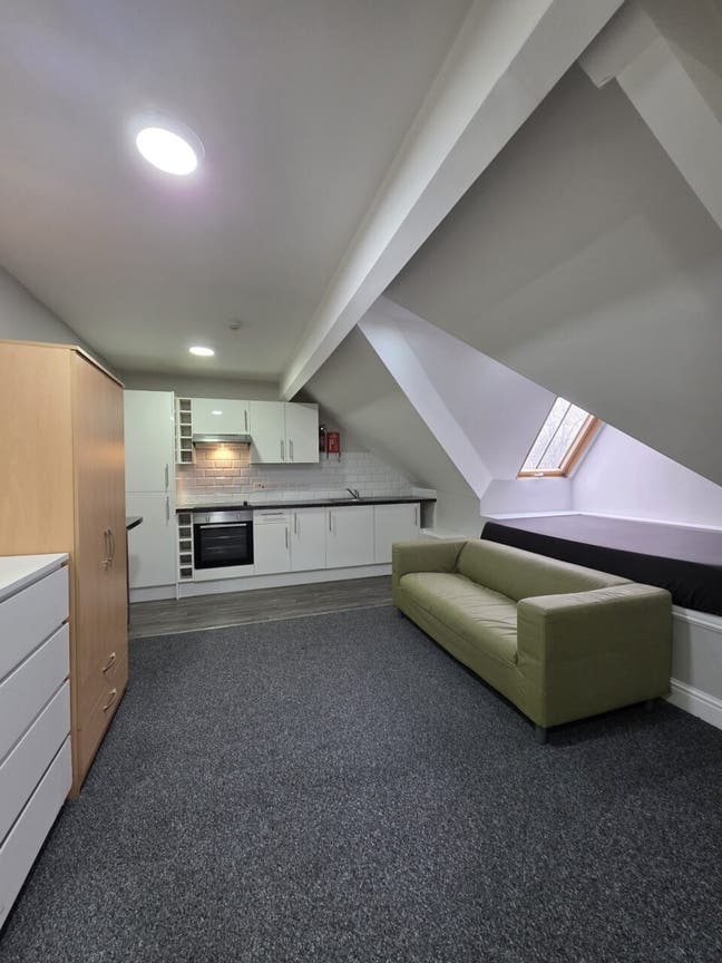 Modern Studio Flat near Roath Park Main Photo