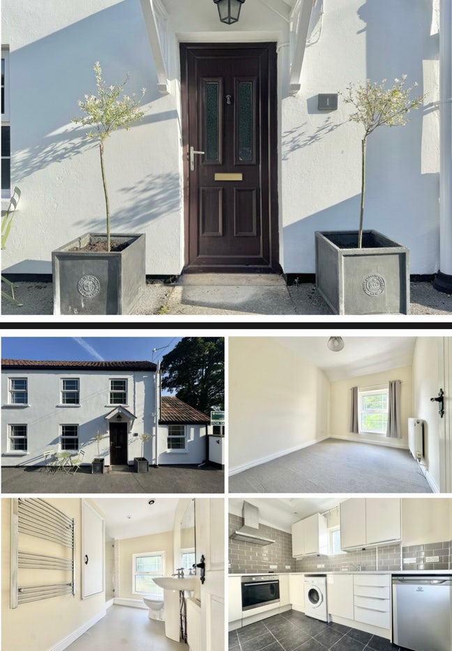 Two rooms for rent in East Brent Main Photo