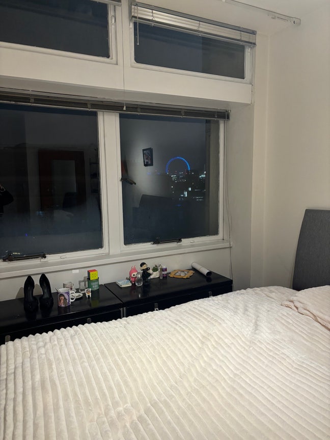 Beautiful double room with views of the London eye Main Photo