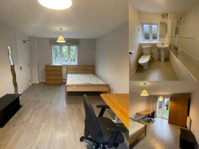 Xl Room Private Bathroom 1/2 Price First Month Main Photo