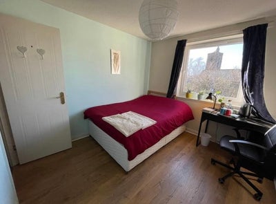 Looking for a Female Flatmate – En-Suite Room, Veg Main Photo