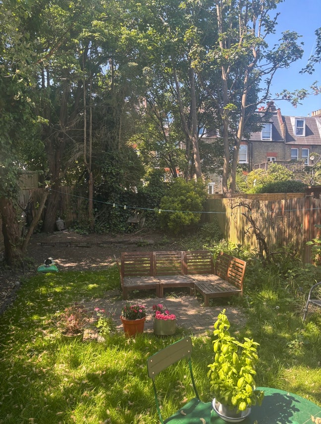 Room in Gorgeous Crouch End Flat  Main Photo