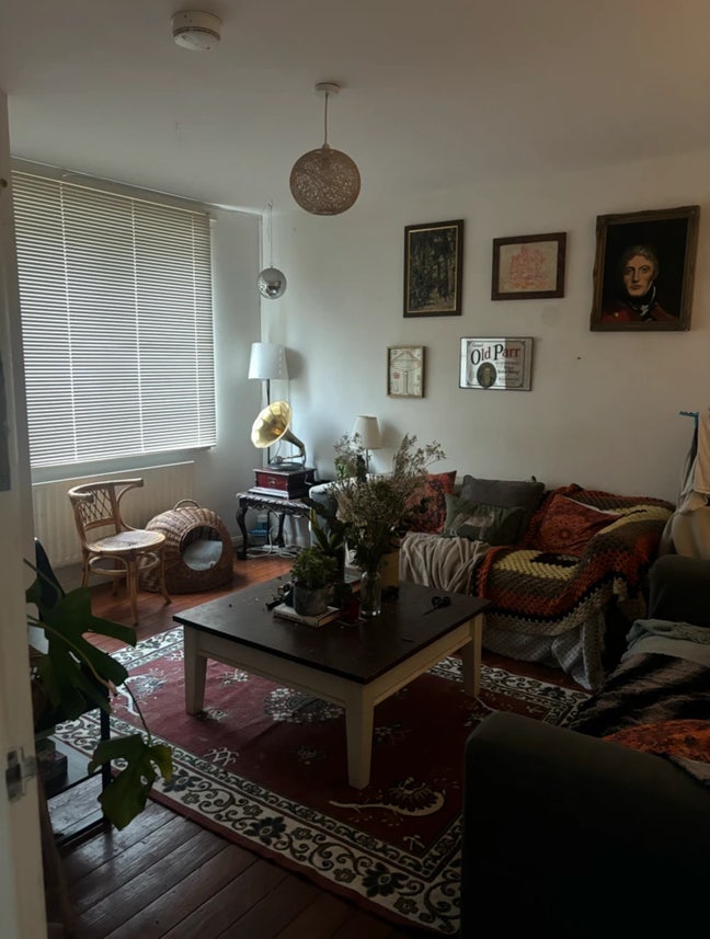 Big room in cosy house 🐈‍⬛🐈🤎 Main Photo