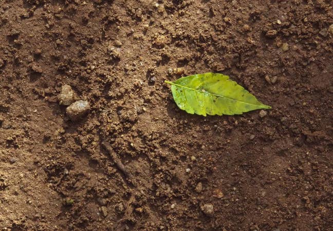 Female seeks double room:) Main Photo