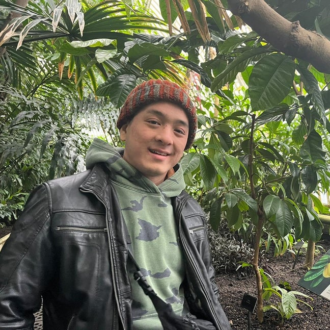 Professional seeking room in Cardiff Main Photo