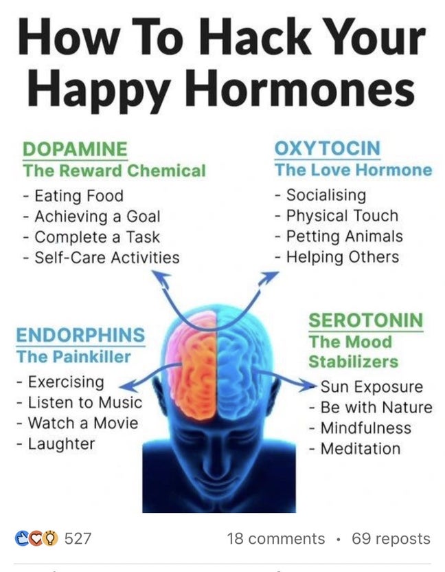 Stylish Dbl Room in a Flat with 1 More Female  Main Photo