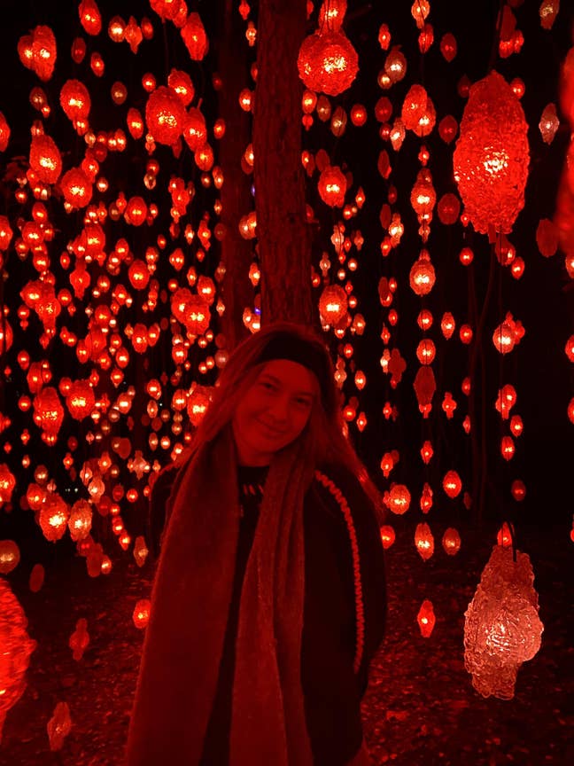 Looking for south London room Main Photo