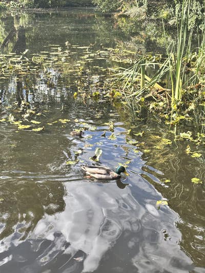 Looking for room for the summer! Main Photo