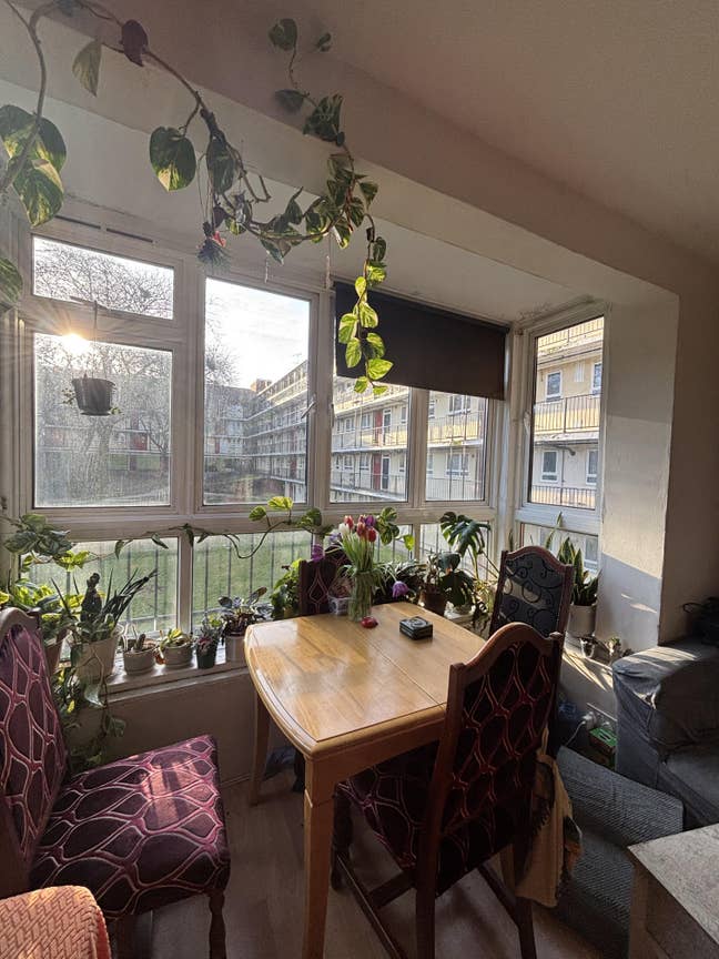 Cozy double room in Clapham/Battersea Main Photo