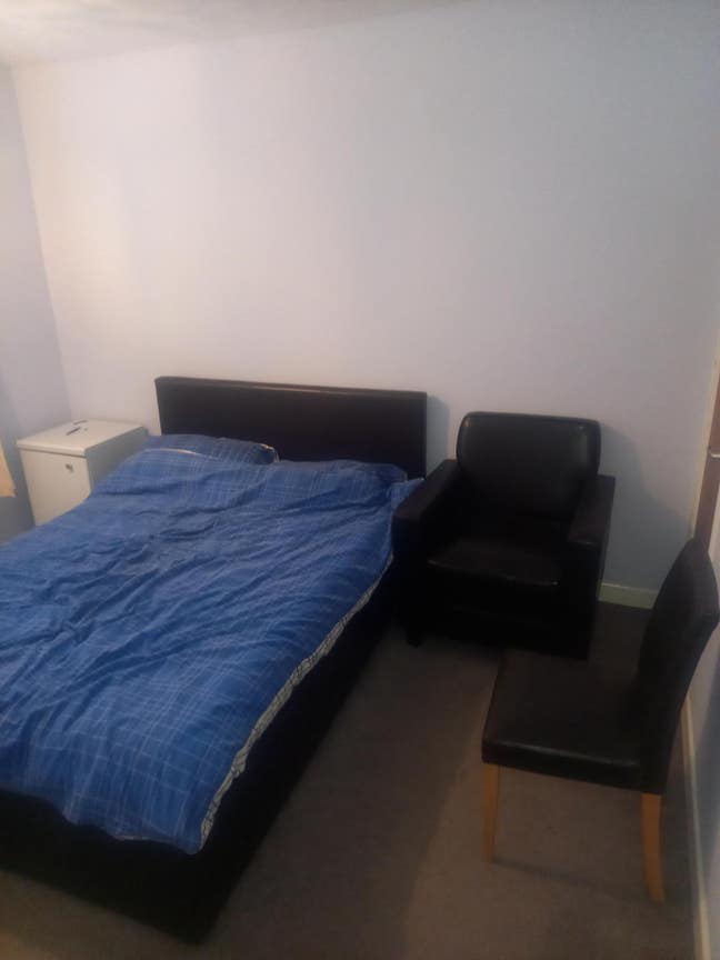 Dog lover required for Large furnished room Main Photo