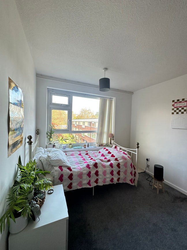 Spareroom available in 2-bedroom flat Main Photo