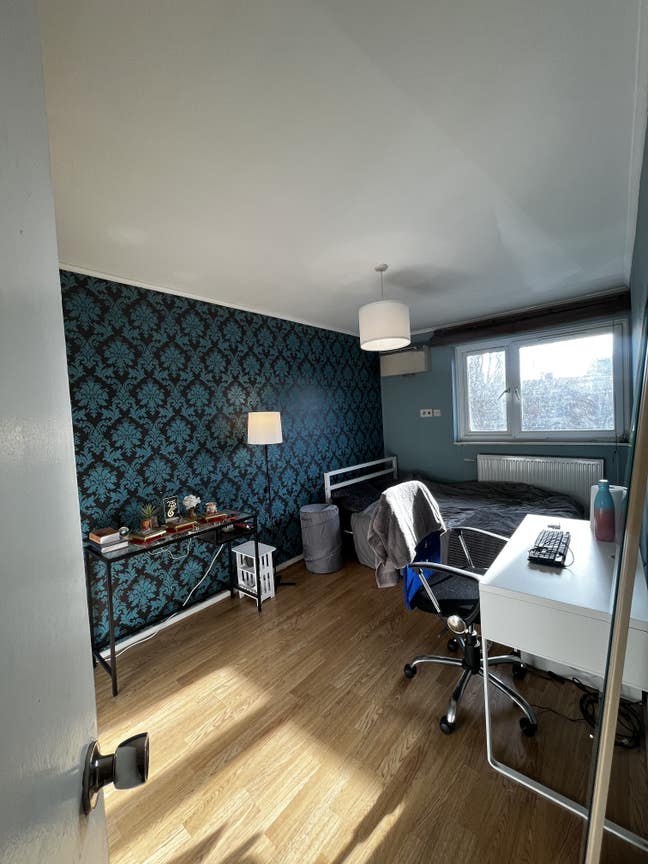 Bright Double Room in Friendly Flat Main Photo