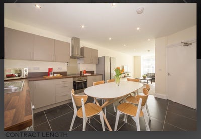 Room for Rent in Hyde Park Main Photo