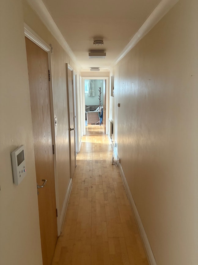 Looking for new flatmate  Main Photo