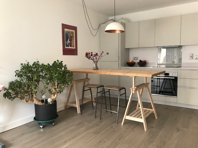 Sunny & peaceful one-bedroom flat in Hackney Wick Main Photo