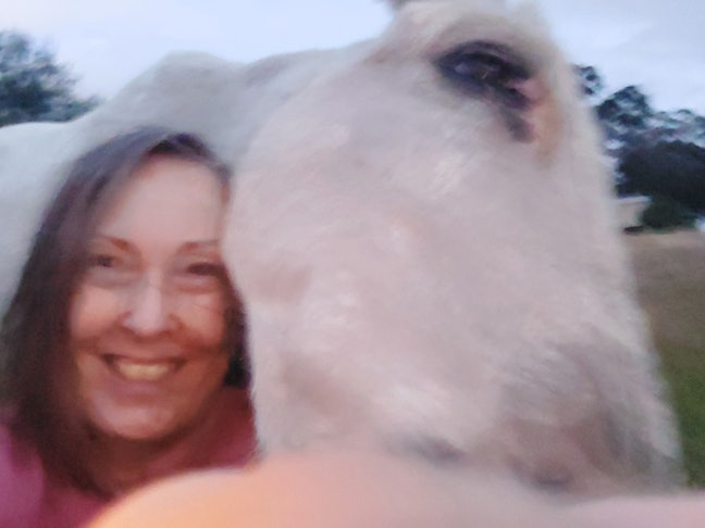 Accommodation Wanted Main Photo