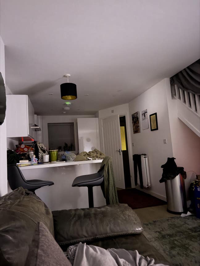 House share with me & my french bulldog  Main Photo