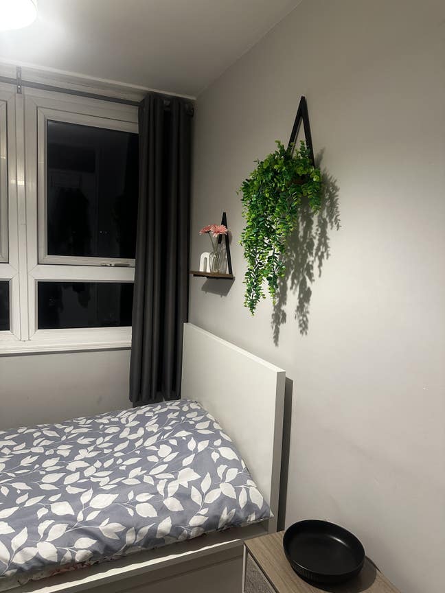Bright Single Room in Friendly Redcliffe Home Main Photo
