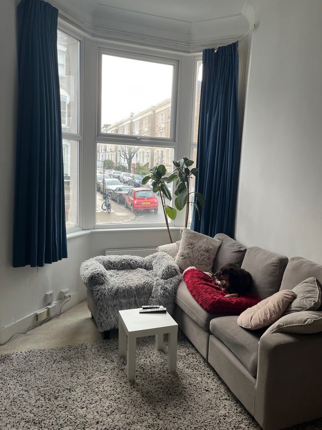 Double Room Sublet in Lovely Terrace House  Main Photo