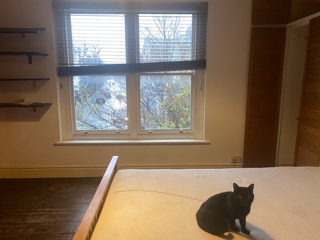 Double room to rent in Camberwell  Main Photo