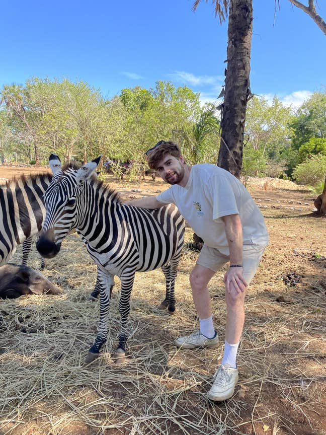 Kiwi professional seeking friendly house Main Photo