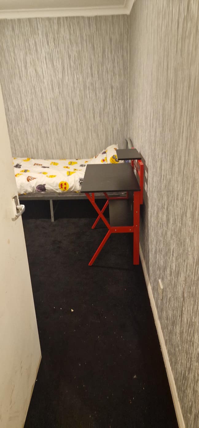 Single room to rent Main Photo