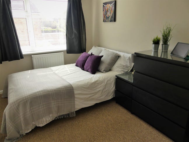 🌻Beautiful Large Professional Double Horfield Main Photo