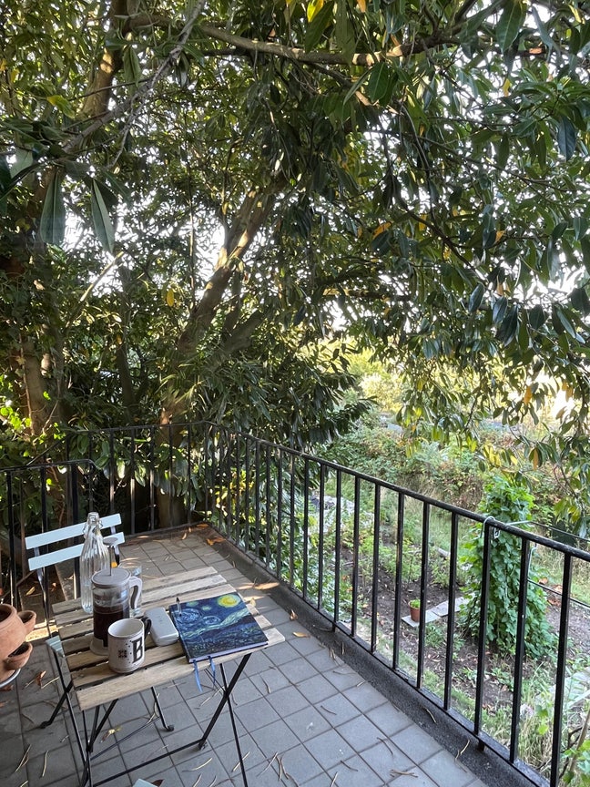 Flat in south west London  Main Photo