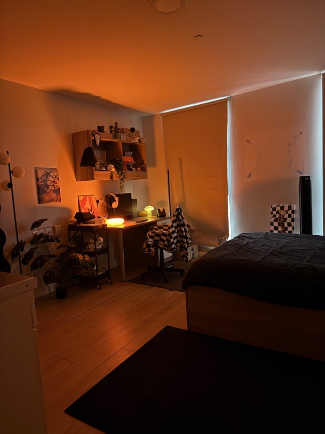 Student takeover  Main Photo