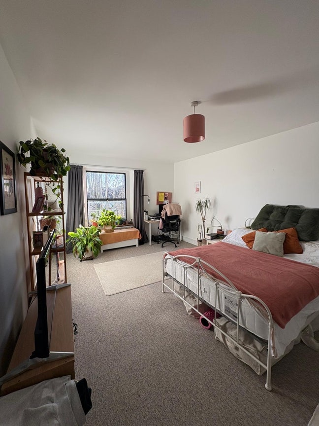 Spacious double room in Clifton / Redland  Main Photo