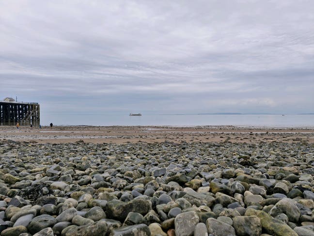 Looking for Room from June  Main Photo